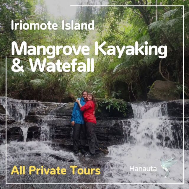 The cutest couple in the world!!

They were from Israel.
I've never met such a cute couple in my life!
They made my day blighten! 
I was so so lucky to have them as our guests.

Thank you for joining our tour!

.
.
.
We serve private nature tours in Iriomote Island.
Between November to March, Mangrove Kayaking and Waterfall Trekking is recommended activity.

We have rental shoes/ waterproof jackets and pants/ waterproof bags/ water bottles. So even if you don't have outdoor wear, no problem.😊
.
.

🍂Hanauta's Tour Menu 🍂
1. Full day – Easy Mangrove Kayaking and Rainforest Walk
2. Full day – Advanced Mangrove Kayaking and Waterfall
3. Half day – Easy Mangrove Kayaking or Easy Rainforest Walk
4. Full day – Advanced Sea Kayaking to Ida Beach (Summer Only)
5. Full day – Easy to Moderate Sea Kayaking (Summer Only)
* All private tours (1 guide for 1 group)

🍂Number of people per group🍂
Min. 1 person (winter season only accepted)
Max. 6 persons

🍂Time🍂
Half-day: 9am - 12pm / 2pm - 5pm (approx. 3 hours)
Full-day: 9am - 4pm (approx. 7 hours)

*Note: it includes transport time.
*Time may be slightly shifted depending on the tidal condition.

🍂Price🍂
Half-day: 
Above 12 years old: 9,500 yen per person
Under 12 years old: 7,500 yen per person

Full-day:
Above 12 years old: 14,500 yen per person
Under 12 years old: 12,500 yen per person

If a group is only one person, 3,000 yen additional fees are required.

🍂Please contact us for any inquiries 😊

#Iriomote
#iriomoteisland
#iriomotejima
#ishigaki 
#ishigakiisland
#ishigakijima
#mangroves