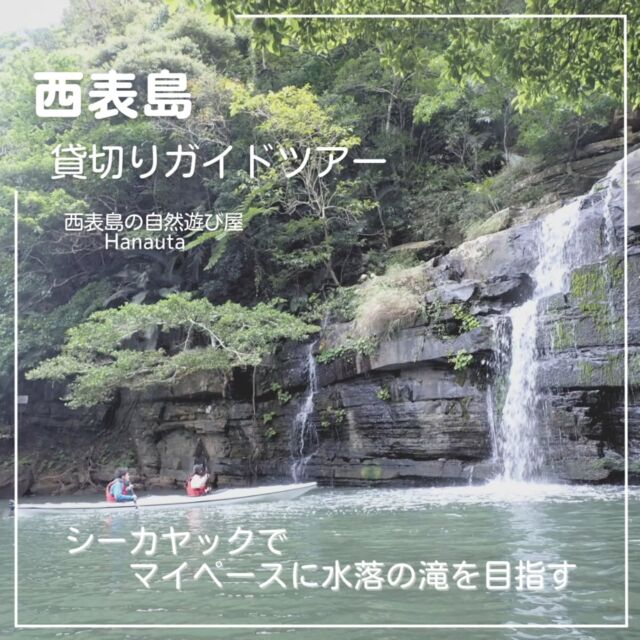 西表島の自然の中で生きる喜びを感じましょう✨🛶
.
.

今朝、カーテンを開けると、久しぶりの太陽の光！！西表島に恵みの光が降り注ぎました。もうそれだけで幸せ。アンパンマンのバタコさんも、太陽の光を見るだけで嬉しくなると言っていました♪

私達も同じ気分で、｢そうだ♪嬉しいんだ生きる喜び♪｣　と、アンパンマンの深いイィ～歌を、娘と一緒に歌いました🌞♪✨♥

今年の冬は寒い日が続き、私と娘は一週間ずっと風邪をひいていましたが、やっと動けるようになりました☘️今週は寒さ和らぎそうです🍵ありがたや～

.
.
寝込んでいた間、なかなかツアーの様子を投稿出来なかったので、珍しくストーリーズでツアーのハイライトをまとめていたのですが…

｢目指せ水落の滝！！｣と意気込んだ一枚をアップしたところで娘がお昼寝から目覚め

肝心の｢#水落の滝｣の写真まで到達しませんでした！！(笑)

不完全燃焼。
かなりモヤっとしたままだったので、改めて投稿です(笑)
.
.
暖かくなってきたので、そろそろ自分も穴倉から出て🐻　春に向けて体を動かしていこうと思う今日この頃です🛶⛰️🚶👣

.
.
⛵島民向けサバニクルーズ⛵
3月19日頃まで特別企画やってます。
暖かそうな日で、お時間があれば
ご連絡くださいませ。前日でもOKです。
.

🌸春休みのご予約🌸
ホームページで空き状況ご覧頂けます。
家族割もございます。
.
.
.
*- - - - - - * - - - - - - * - - - - - - *- - - - - - *
西表島の自然遊び屋

　　  Hanauta

～ hugging nature ～
自然とつながり 感性が喜ぶ時間を すべての人に
*- - - - - - * - - - - - - * - - - - - - *- - - - - - *

Hanautaは、自然と舟に魅了された夫婦２人が、鼻歌交じりで営む西表島の自然遊び屋です。

ツアーは全て一組貸切、オーダーメイドで行います！

このため、アウトドア・アクティビティに慣れている方はもちろん、そうでない方々にも参加頂けます！

事前にカウンセリングを行い、参加者の皆様が「無理なく 心地よく」過ごせるプランを組み立てます。

まったりとした時間の流れがお好きな方、アットホームなショップがお好きな方にぴったりの自然遊び屋です🐢🎵

【Hanautaツアーメニュー】
●　シーカヤック&海遊び
●　マングローブカヤック&川遊び(半日OK)
●　帆掛けサバニ体験(半日OK・夏季限定サンセット)
●　シーカヤック&木登り遊び
●　島散策&自然観察(半日OK)
●　サガリバナ・カヤック(２プランあり)

※お問い合わせ・ご予約はHPから🙆‍♀️
.
竹富町案内人登録番号 107-001 & 107-002
.
.
.